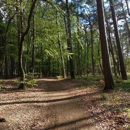 Amber - Porta Mare - Sloneczne Tarasy Apartamento Dziwnówek